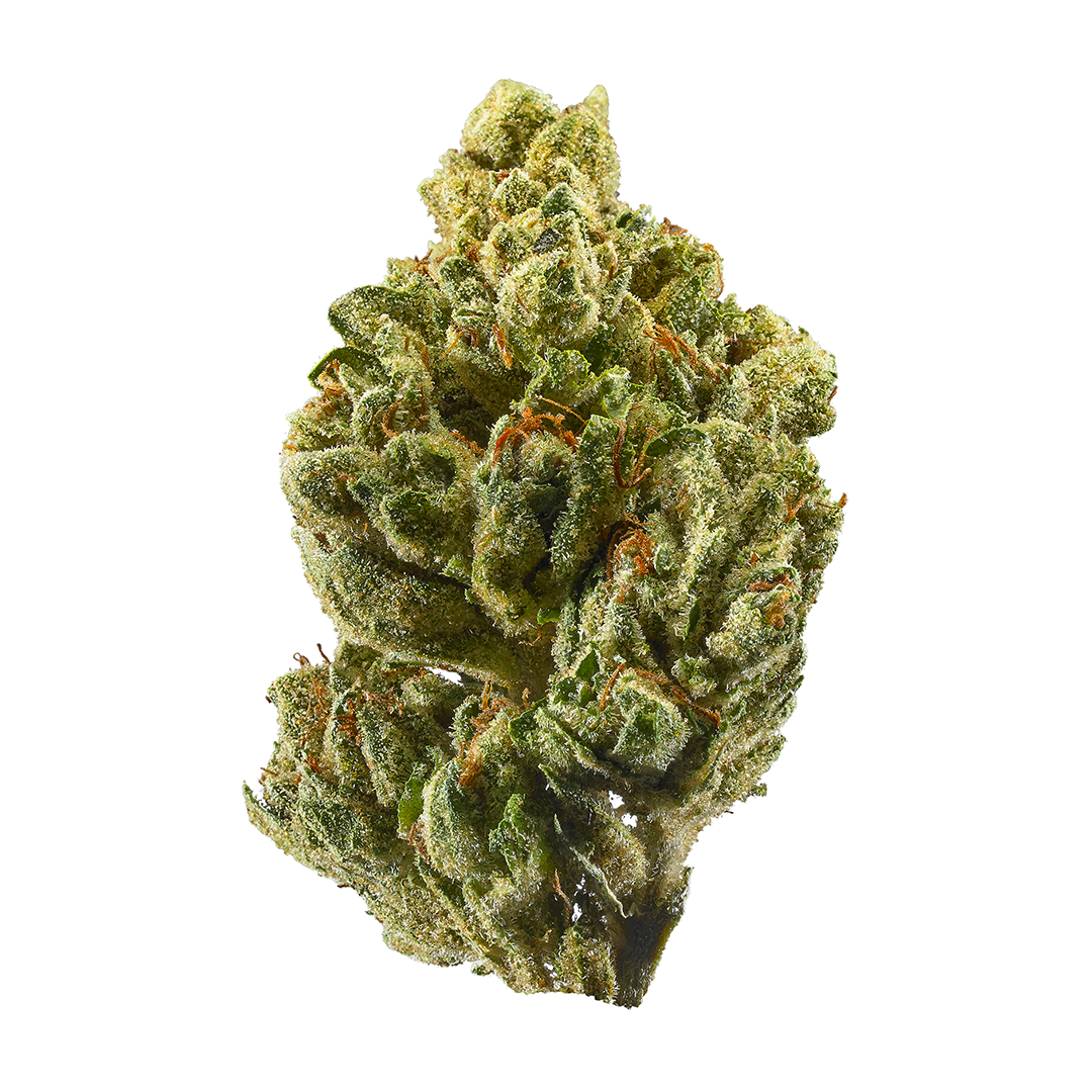 Zooke 3.5G