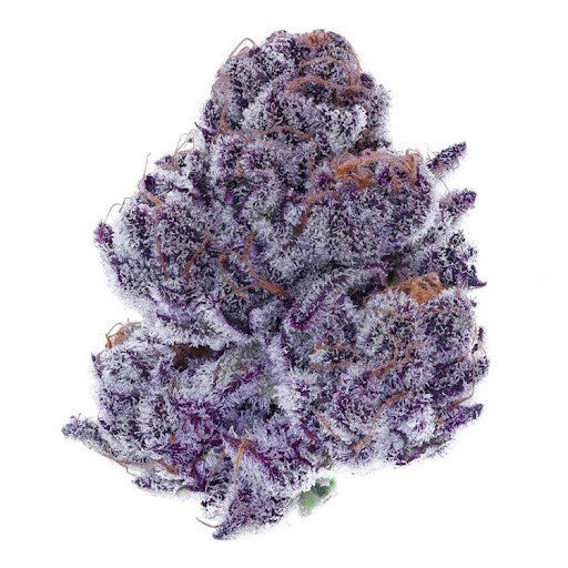 Exotic Runtz 3.5G