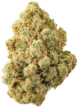 El Chapo OG 3.5G