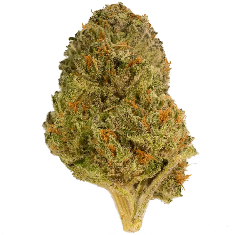 Cheetah Breath 3.5G BOGO