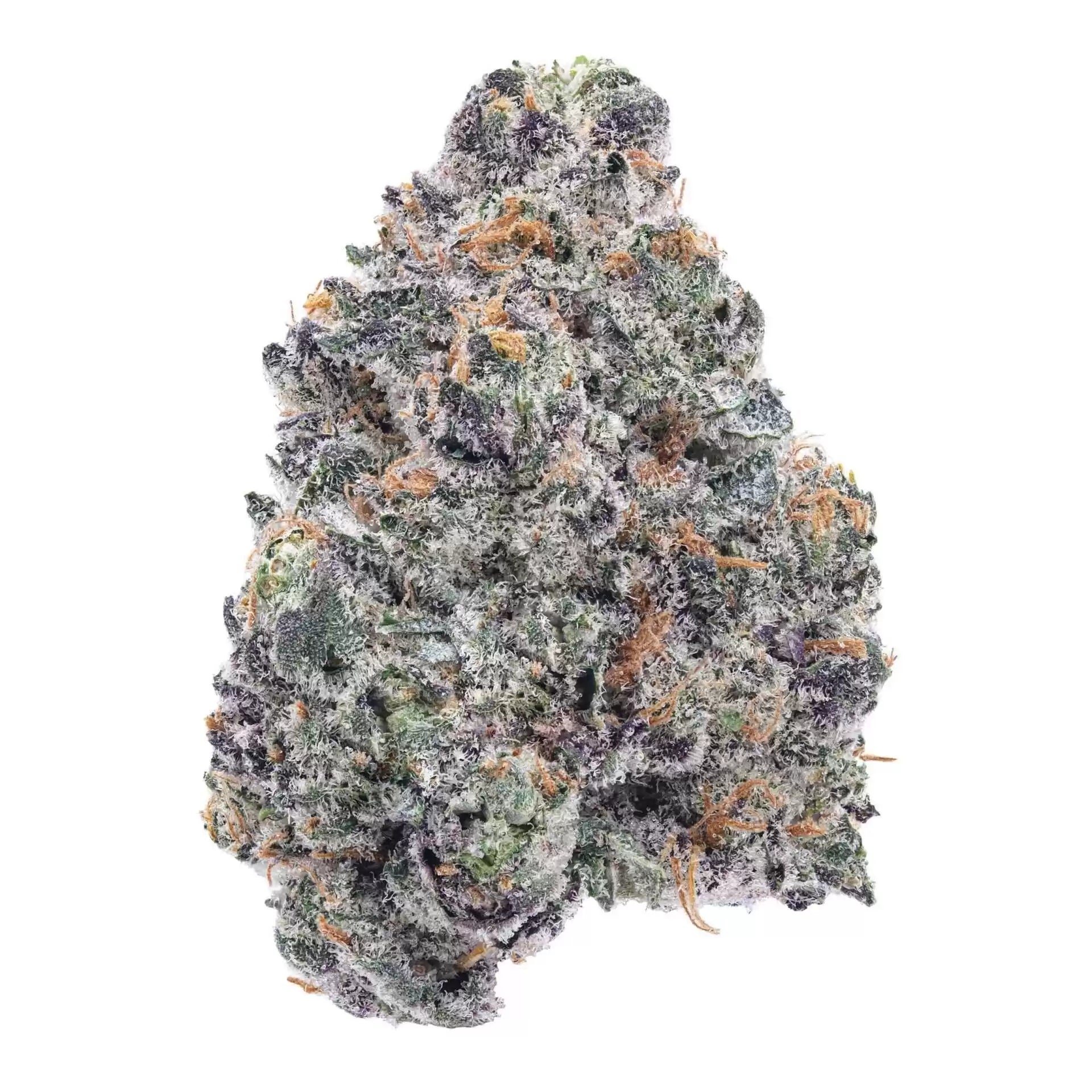 Purple Glue 3.5G