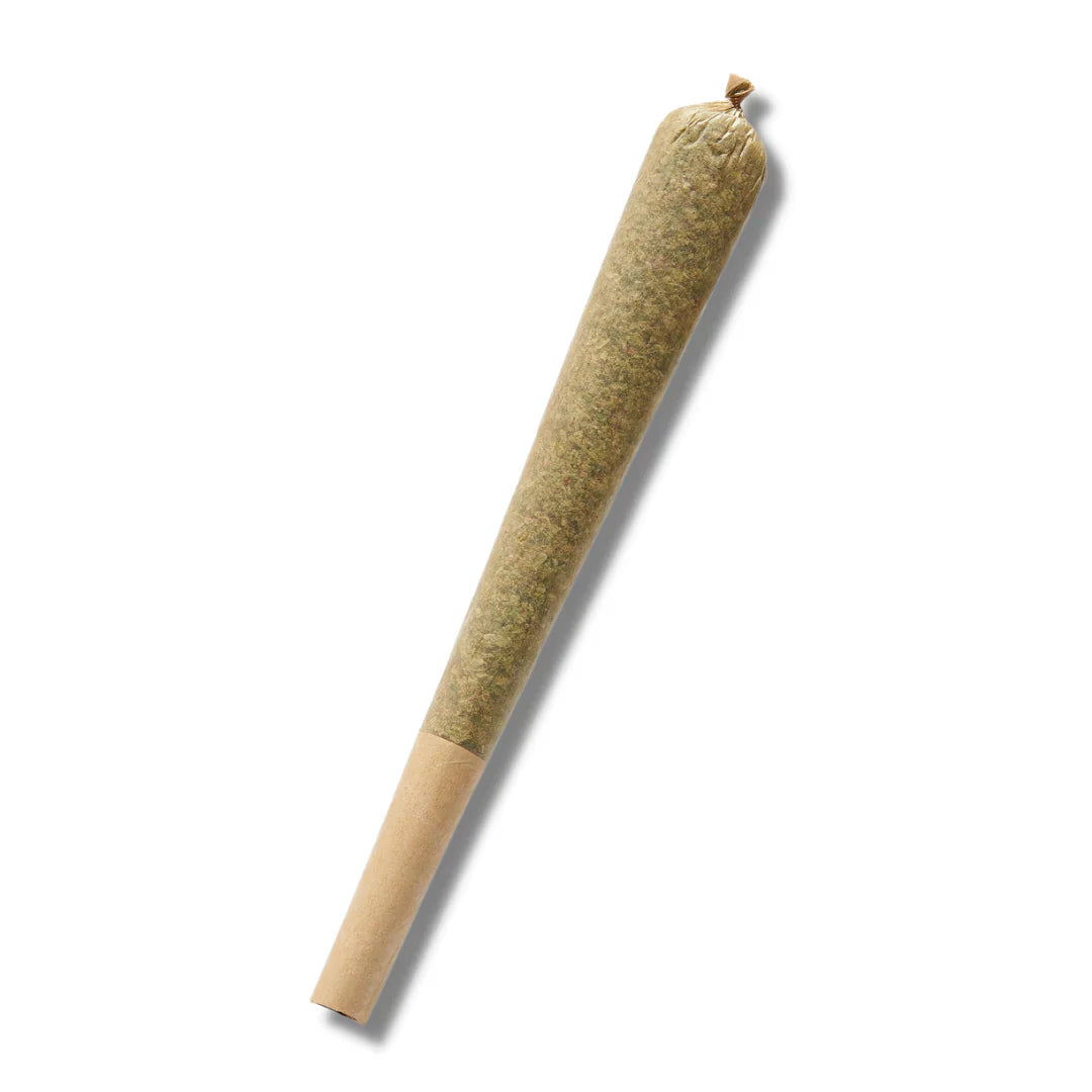 Cheese 1.G